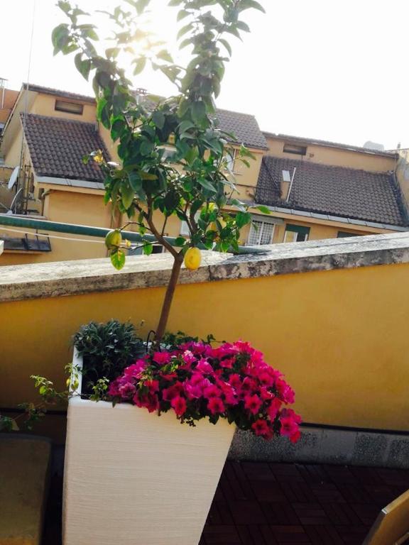 B&B Al Civico Roma Ngoại thất bức ảnh