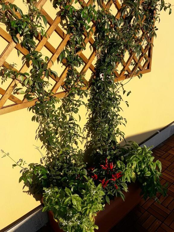 B&B Al Civico Roma Ngoại thất bức ảnh